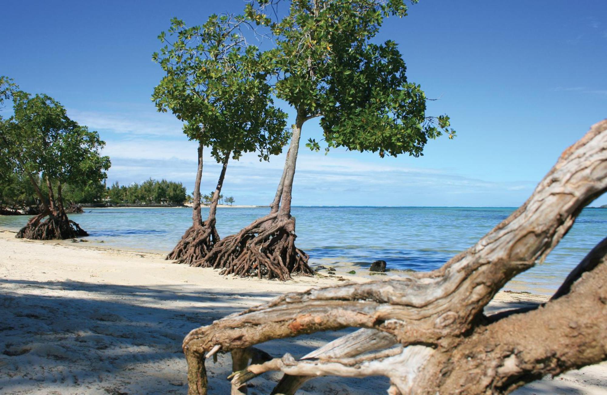 Jalsa Beach Hotel & Spa Poste Lafayette Kültér fotó